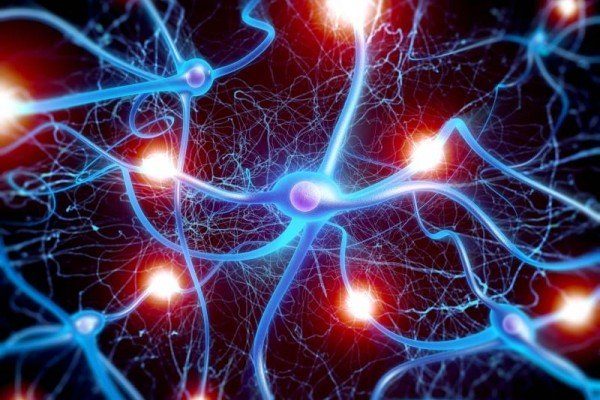 Can early experiences impact genes?