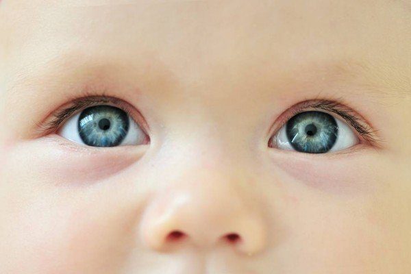 Nature vs. nurture: How to wire up the visual brain?