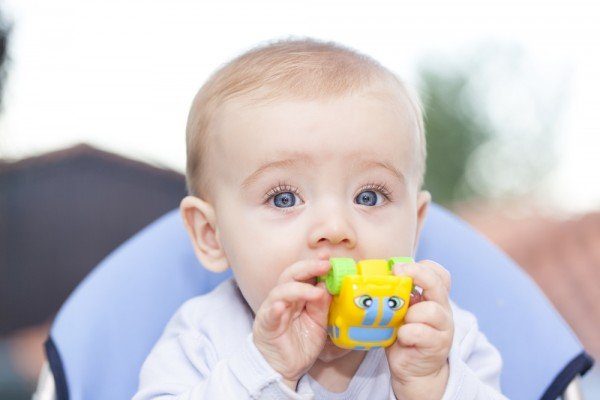 Why do babies put everything in their mouth?