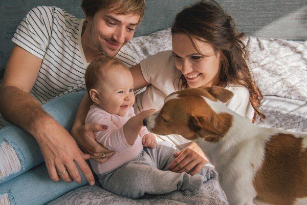 Can pets have a positive effect on a child’s health?