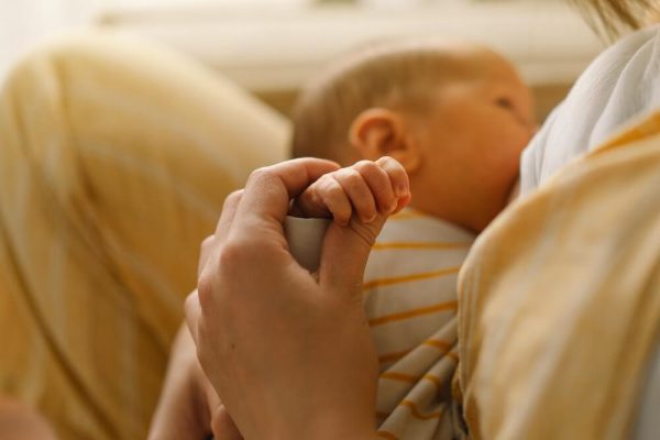 Breast Shells: Everything You Need to Know About Them