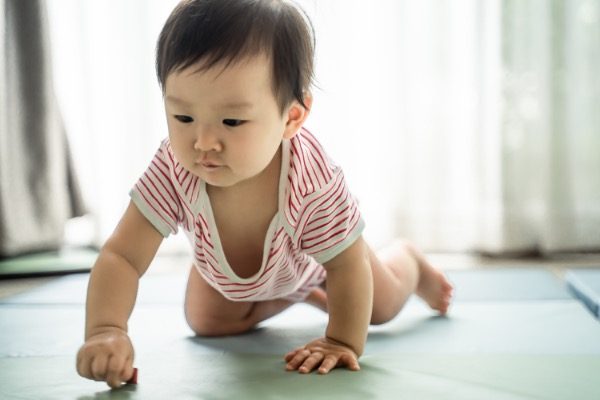Milestones Overview: 10 Months