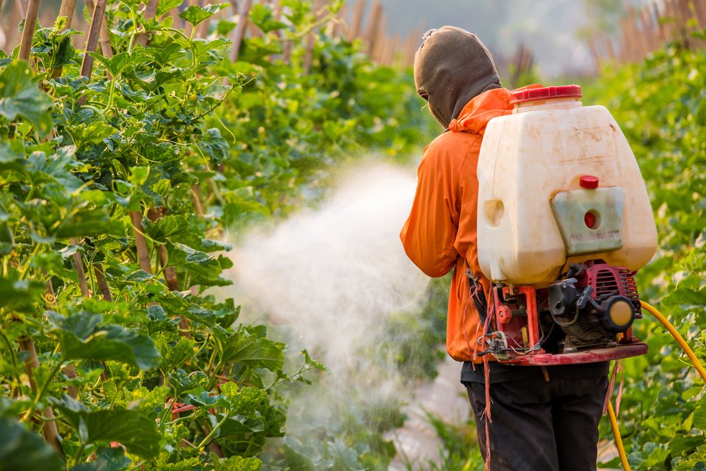 adult using pesticides on a crop