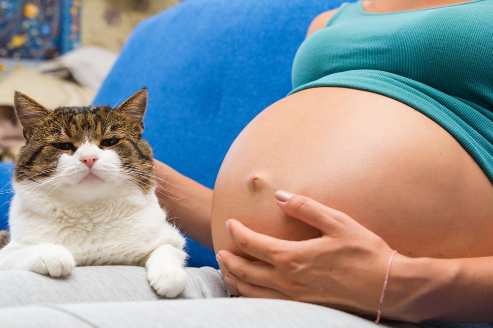 pregnant woman caressing a cat