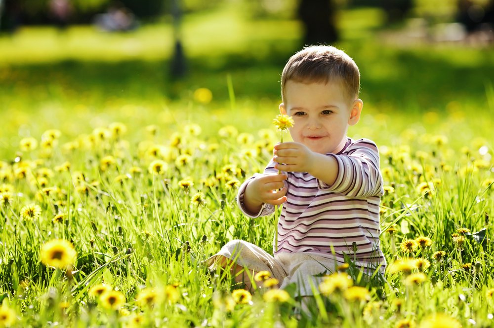 curiosity and learning: little boy playing with flowers outdoors